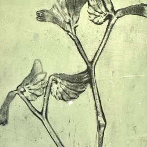Gelliprinting Workshops